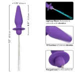 Southern Lights - Vibrating Light Up Anal Probe - Purple Vibrators CalExotics