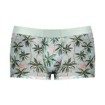 Sheer Prints - Seamless Sheer Short - Small - Flamingo Panties & Thongs Male Power