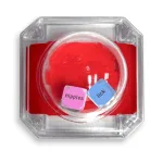 Sex Pop Popping Dice Game Games | Dice Little Genie