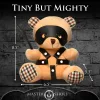 BDSM Teddy Bear Plush Novelty XR Brands