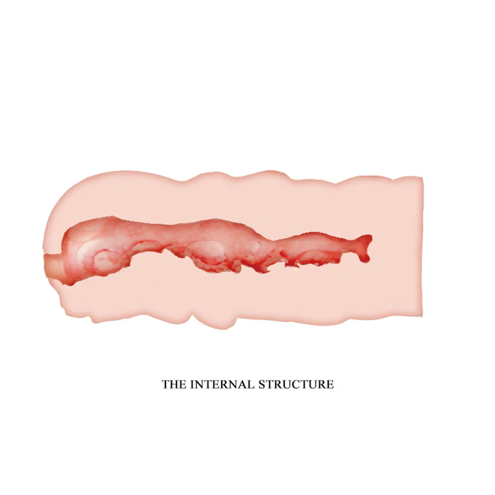 Crazy Bull Masturbator Sleeve - Isabel - Image 5