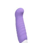 Inu Mini Vibe - Orgasmic Orchid Vibrators VeDO