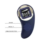 Mina Vibrating Remote Control Egg - Blue Vibrators Pretty Love