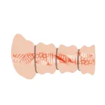 Crazy Bull Rossi Flesh Strokers & Pumps Pretty Love