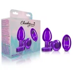 Vibrating Purple Metal Remote Plug - Medium Anal Play Viben