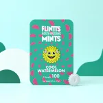 Flintts Mouth Mints Cool Watermelon - F-Strength 100 Lubes & Essentials Flintts Mints
