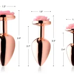 Pink Rose Gold Anal Plug - Small Anal Play XR Brands