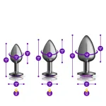 Purple Round Gem Anal Trainer Kit - Gunmetal Anal Play Viben