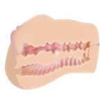 Dani Daniels Movie Download With Realistic Ass and Vagina Stroker Strokers & Pumps Evolved Novelties