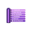 Kool Vibes - Rechargeable Mini Bullet - Grape Vibrators Blush