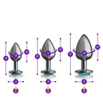 Teal Round Gem Anal Trainer Kit - Gunmetal Anal Play Viben