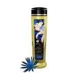 Massage Oils - Seduction - 8 Fl. Oz. Lubes & Essentials Shunga