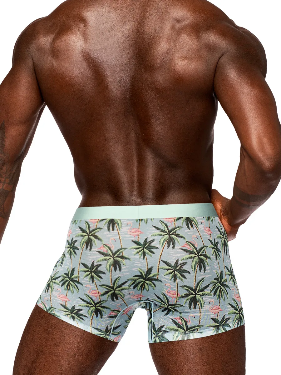Sheer Prints - Seamless Sheer Short - Small - Flamingo Panties & Thongs Male Power