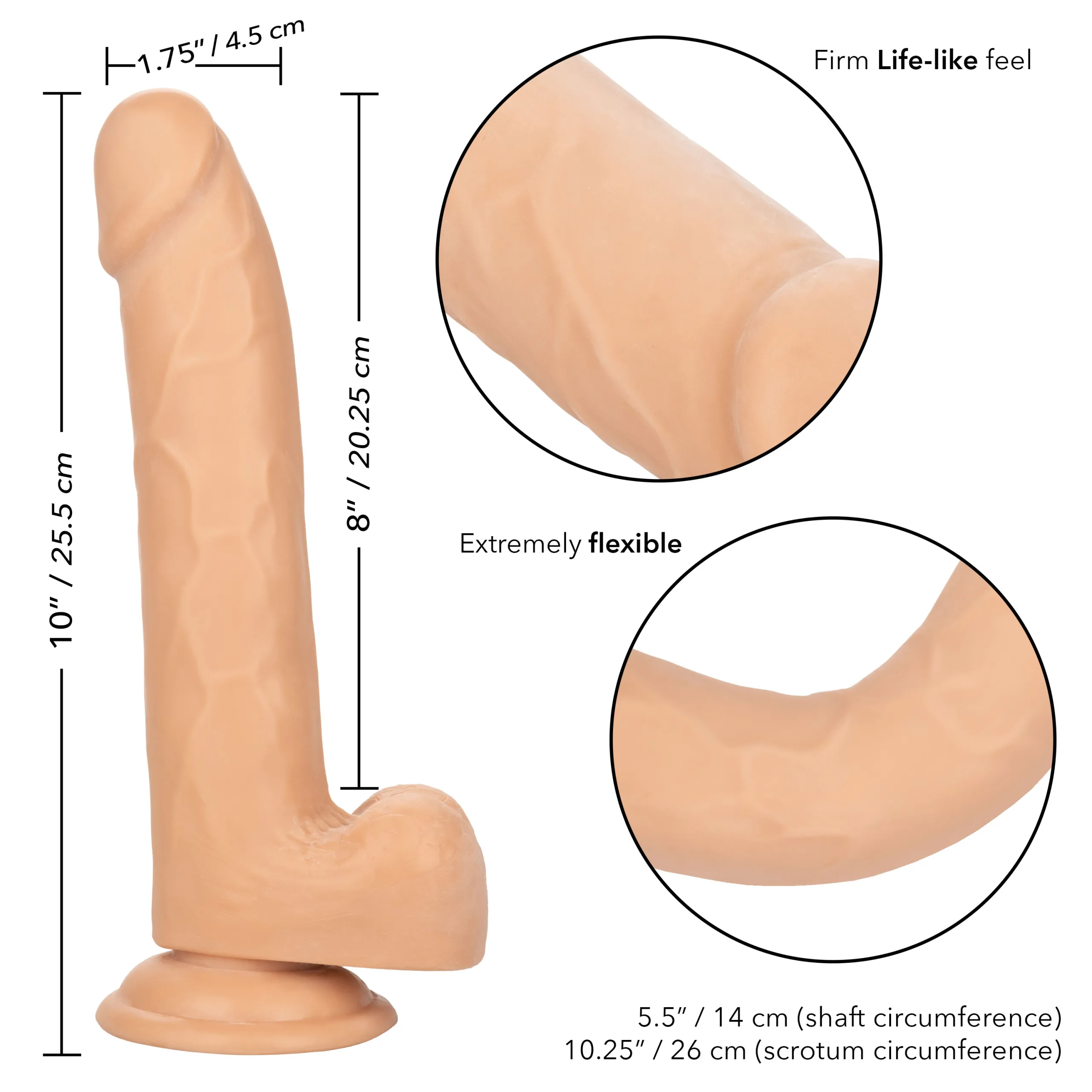 Size Queen 8 inch/20.25 Cm - Ivory Dildos CalExotics