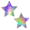 Liquid Party Silver Holographic Starry Nights Nipztix Pasties Festival & Rave Neva Nude