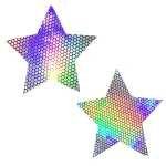 Liquid Party Silver Holographic Starry Nights Nipztix Pasties Festival & Rave Neva Nude