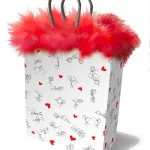 Stick Figures Gift Bag - Red Novelty Little Genie
