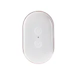 Eager Egg - Plum Vibrators Evolved Novelties