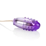 Pleasure Orb Vibrating Egg - Purple Vibrators CalExotics