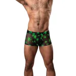 Hazy Dayz - Pouch Short - Small - Pot Leaf Underwear Male Power