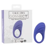 Calexotics Connect Couples Ring - Periwinkle Festival & Rave CalExotics