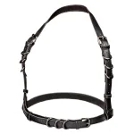 Euphoria Collection Plus Size Halter Buckle Harness - Black BDSM & Kink CalExotics