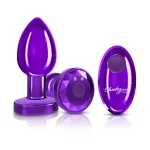 Vibrating Purple Metal Remote Plug - Medium Anal Play Viben