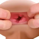 Pdx Male Reach Around Stroker Anal Play Pipedream