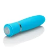 Taking Care of Business - Blue Vibrators CalExotics