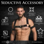 Star Boy Male Chest Harness With Arm Bands - Large/xlarge - Black Robes & Sleepwear XR Brands