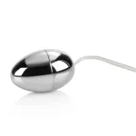 Pocket Exotics Vibrating Egg - Silver Vibrators CalExotics
