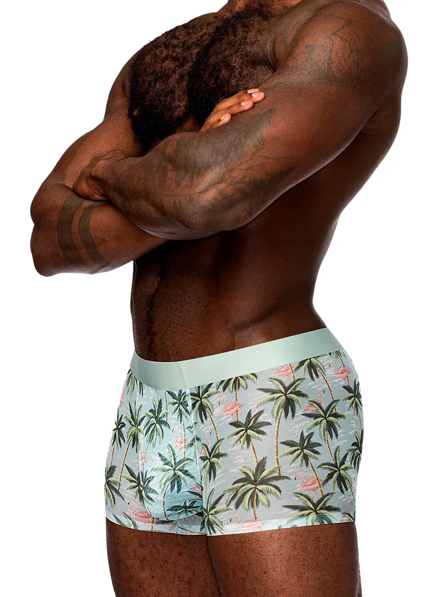 Sheer Prints - Seamless Sheer Short - Small - Flamingo Panties & Thongs Male Power