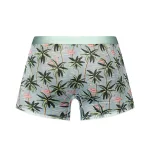 Sheer Prints - Seamless Sheer Short - Medium - Flamingo Panties & Thongs Male Power