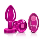 Vibrating Pink Metal Remote Plug - Medium Anal Play Viben