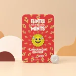 Flintts Mouth Watering Mints Cinnamon Ginger - F-Strength 300 Lubes & Essentials Flintts Mints