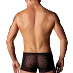 Widow Maker Mini Pouch Short - Medium - Black Underwear Male Power