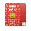 Flintts Mouth Watering Mints Cinnamon Ginger - F-Strength 300 Lubes & Essentials Flintts Mints