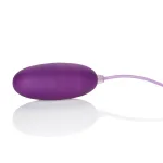 Waterproof Pocket Exotics Waterproof Bullet - Purple Vibrators CalExotics
