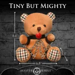 Gagged Teddy Bear Plush Novelty XR Brands