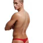 Low Rise Thong - Medium/large - Red Panties & Thongs Envy Menswear