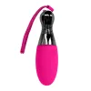 Companion Pink Vibrators Evolved Novelties