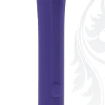 Full Coverage - Purple Vibrators Evolved Novelties