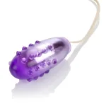 Pleasure Orb Vibrating Egg - Purple Vibrators CalExotics