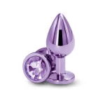 Rear Assets - Medium - Purple Anal Play nsnovelties