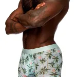 Sheer Prints - Seamless Sheer Short - Large - Flamingo Panties & Thongs Male Power