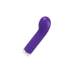 Gee Plus Rechargeable Mini Vibe - Into You Indigo Vibrators VeDO