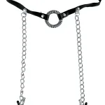 Fetish Fantasy Series O-Ring Gag With Nipple Clamps BDSM & Kink Pipedream