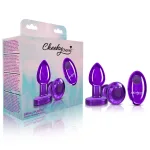 Vibrating Purple Metal Remote Plug - Small Anal Play Viben