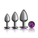 Purple Round Gem Anal Trainer Kit - Gunmetal Anal Play Viben