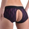 Lace Envy Crotchless Panty Harness - S/ M Black and Purple Panties & Thongs XR Brands